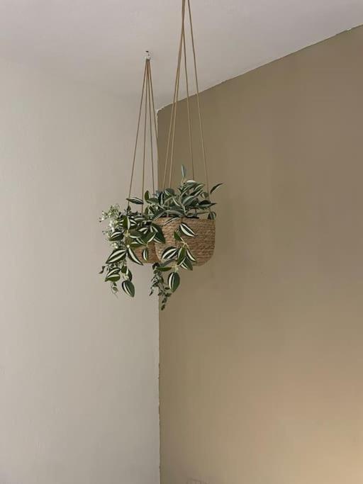 Almond Home Livadia  Buitenkant foto